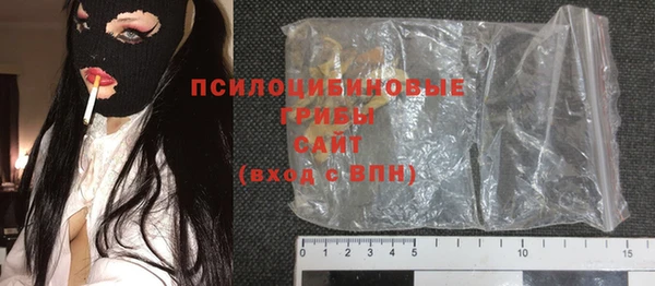прущая мука Арсеньев
