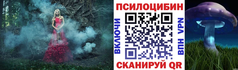 Псилоцибиновые грибы ЛСД  дарнет шоп  Новомосковск 